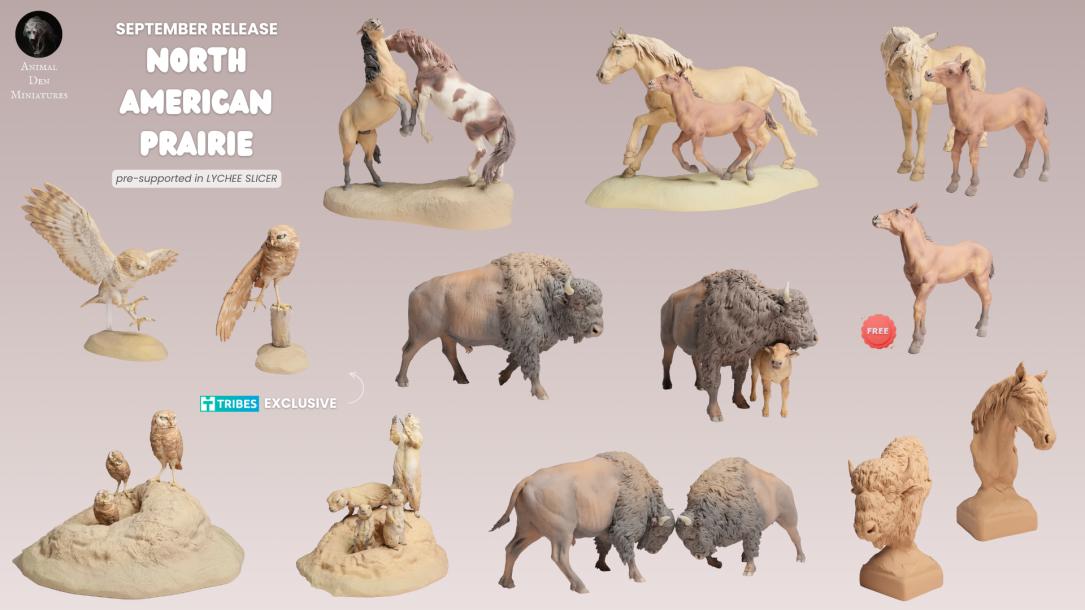 2025/09 - North American Prairie
