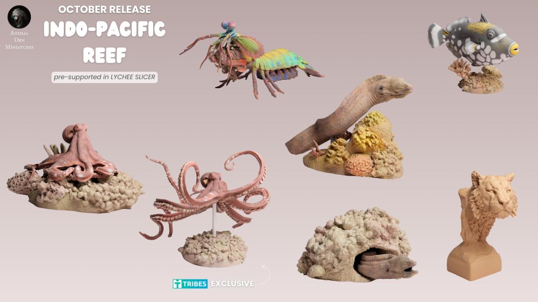 2025/10 - Indo-Pacific Reef