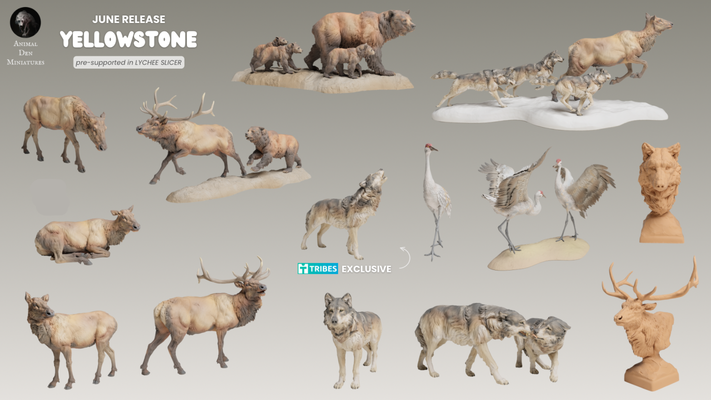 2025/06 - Yellowstone