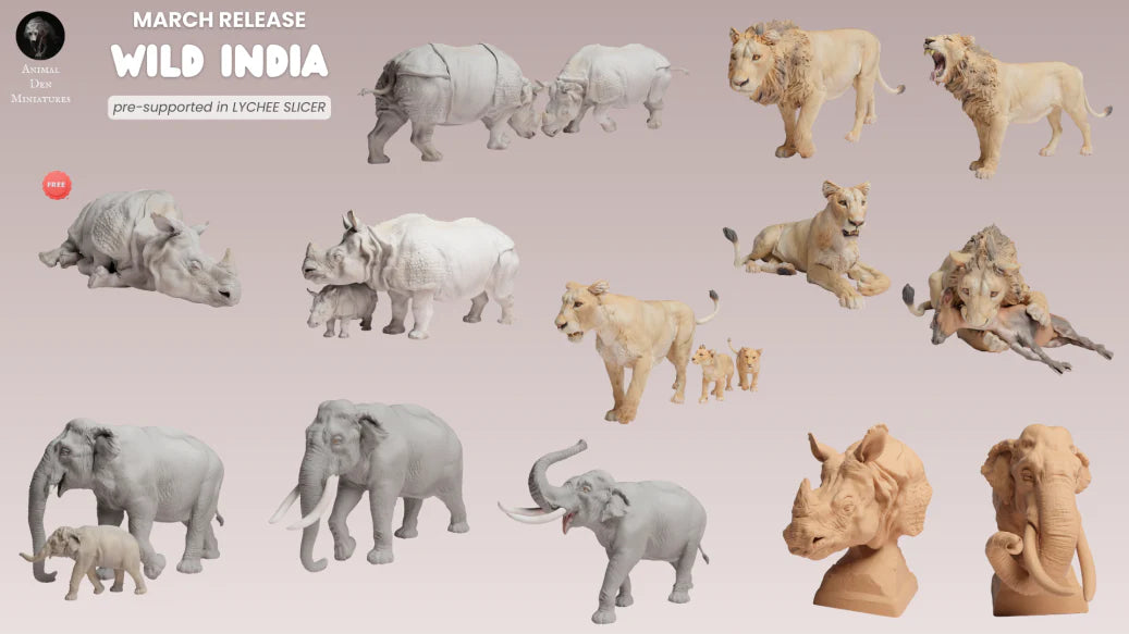 2026/03 - Wild India