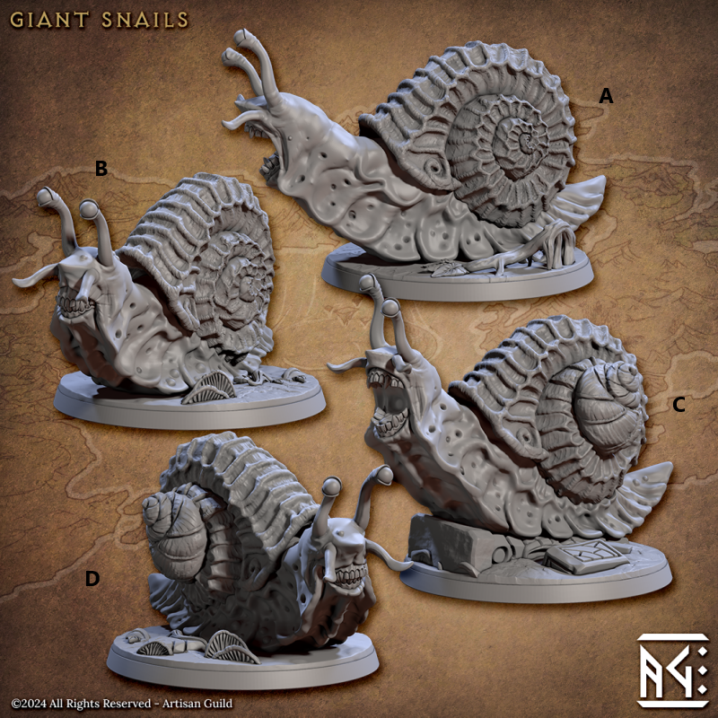 Turtlekin Snail - Wild