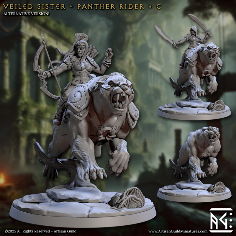 Veiled Sister - Panther Riders - C