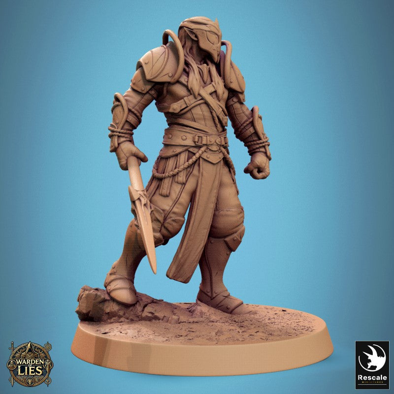 Moon Elf Sentinel - Ready Spear