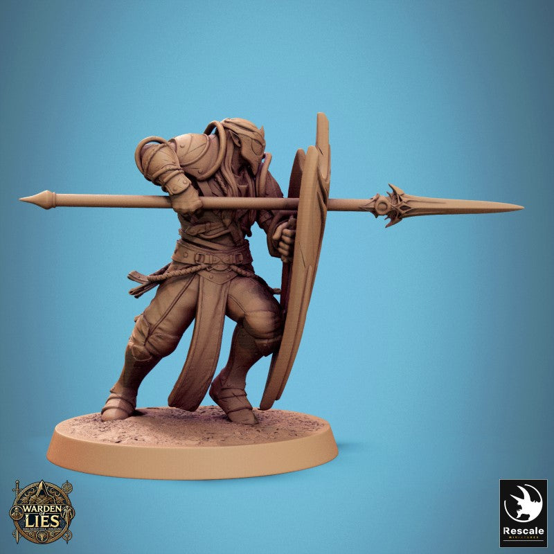 Moon Elf Sentinel - Hold Line Spear Shield
