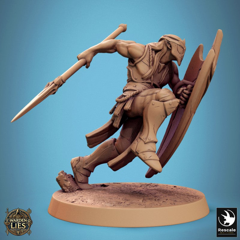 Moon Elf Sentinel - Charge Spear Shield