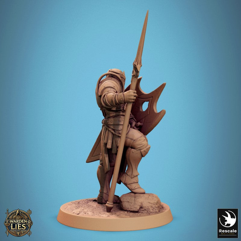 Moon Elf Sentinel - Stand Spear Shield