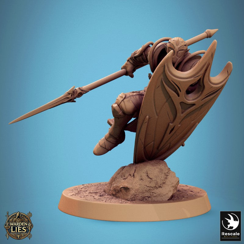 Moon Elf Sentinel - Charge Them Spear Shield