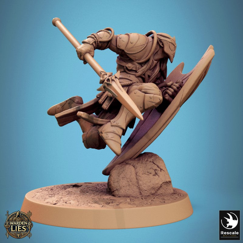 Moon Elf Sentinel - Charge Them Spear Shield