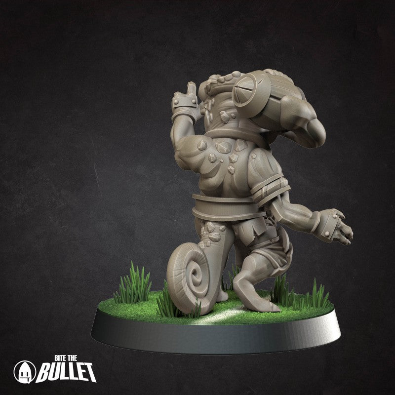 Chameleon - V2