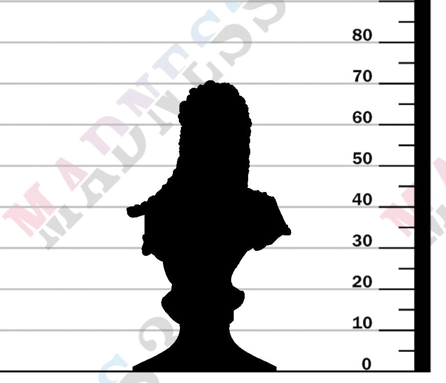 Veiled Sister - Rogues - Bust