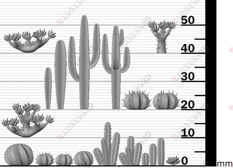 Desert Plants - Group 3