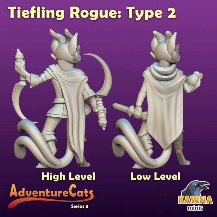 Rogue Tiefling - Type 2