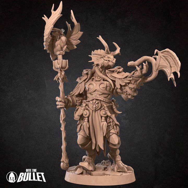 Dragonborn - Druid