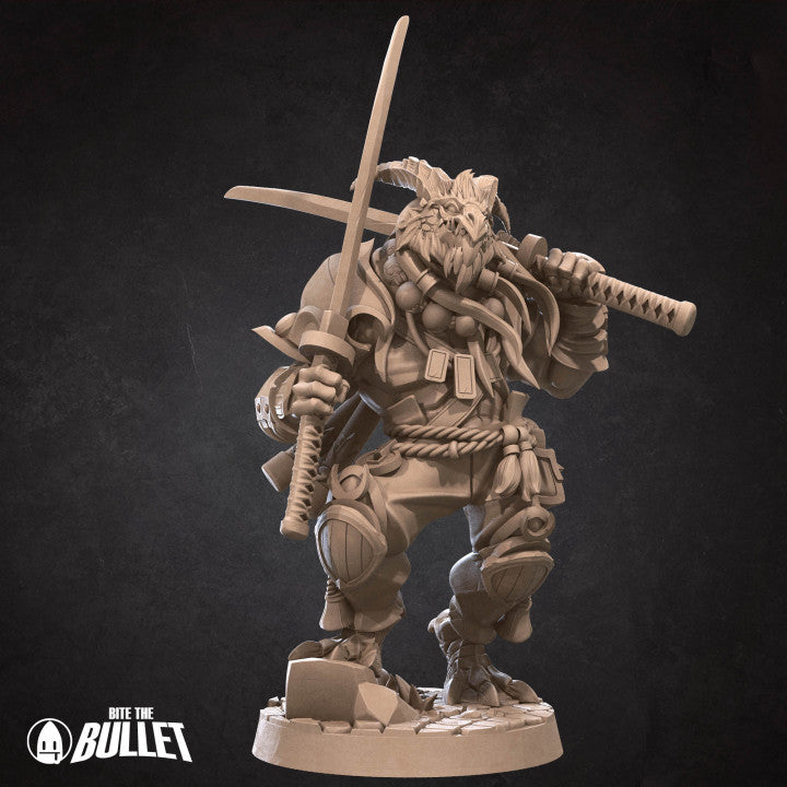 Dragonborn - Monk