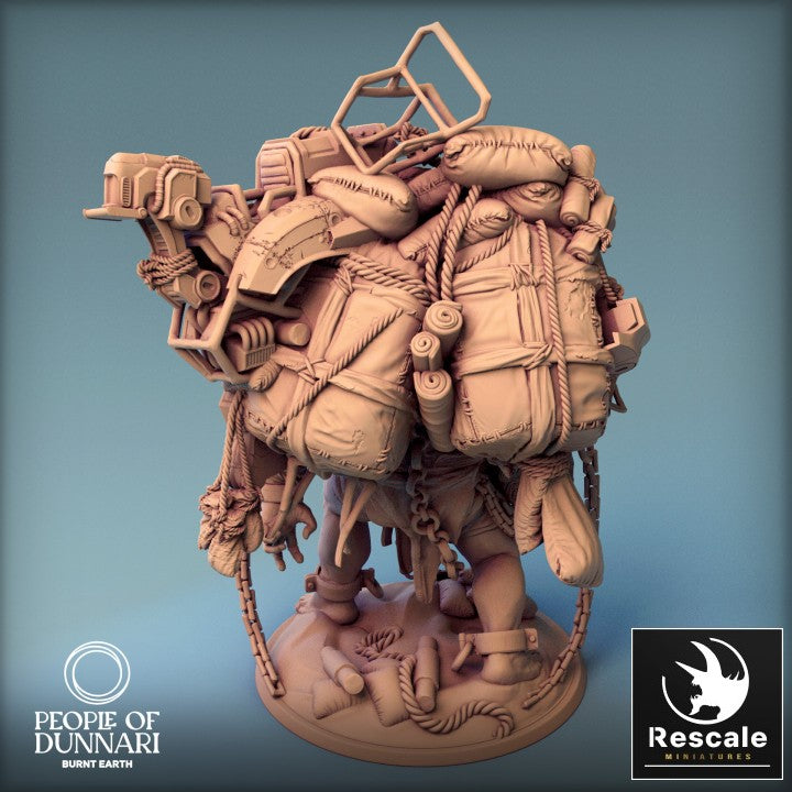 Dunnari Sand Ettin - Walk