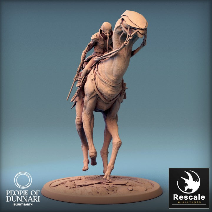 Dunnari Sandstepper - Gallop