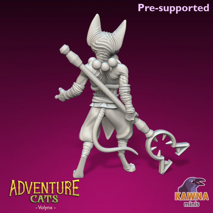 Volynx - Monk Male