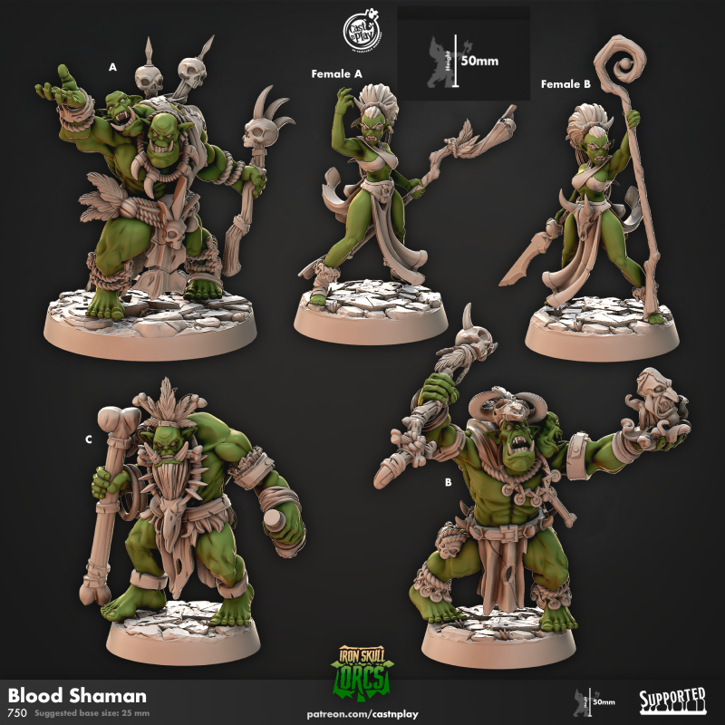 Miniature Blood Shaman by Cast n Play