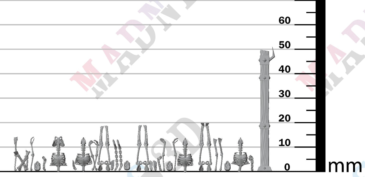 Human Skeleton - Group 3