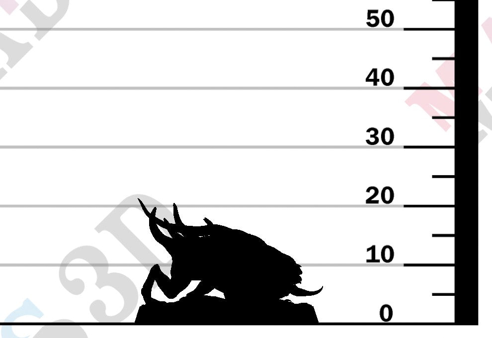 Devilish Flea - Afraid