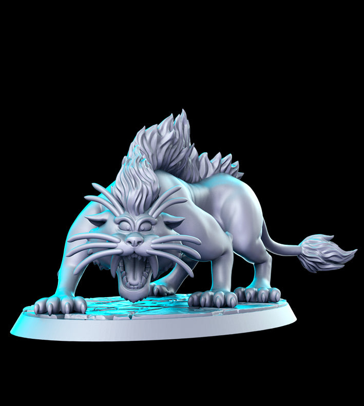 Big Cat DQ