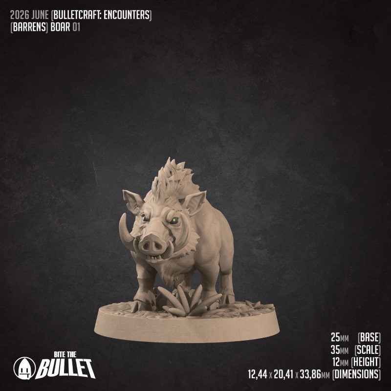 Boars