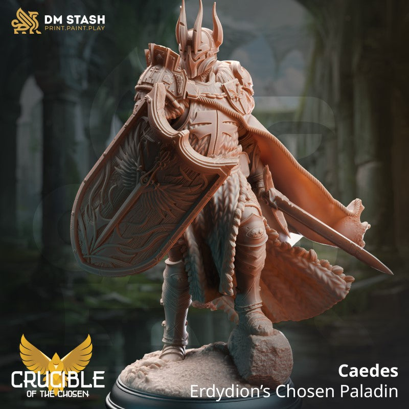 Caedes the Chosen