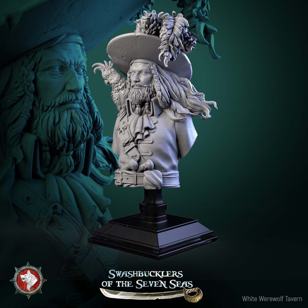 Captain Aurelius Drake - Bust