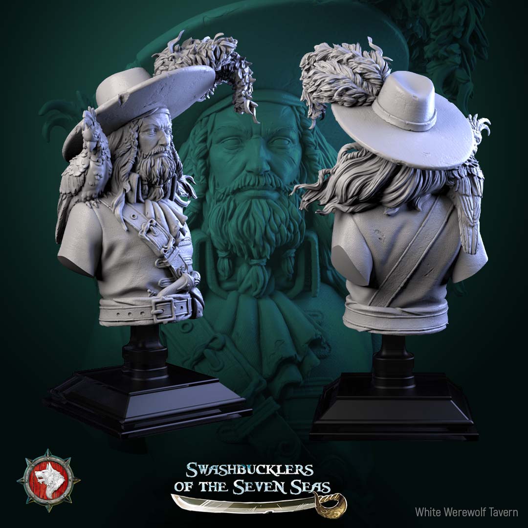 Captain Aurelius Drake - Bust