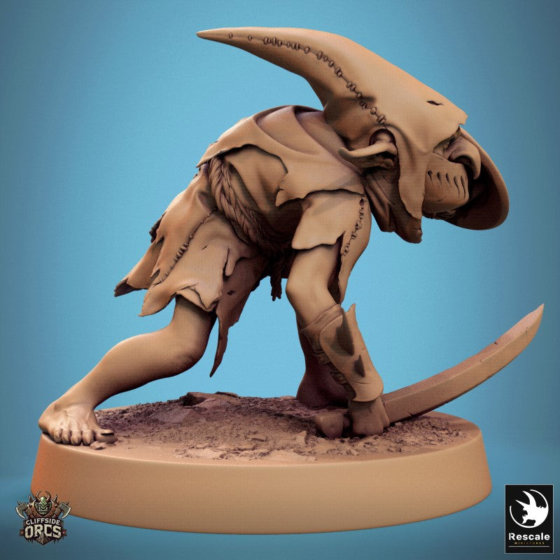 Goblin - Sword Shield Stance