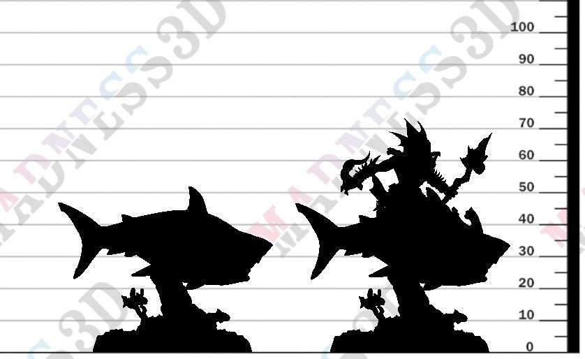 Tidal Shark Rider - D