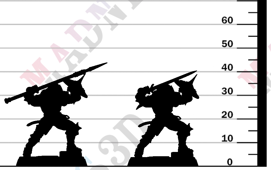 Vanguard Fighter - D