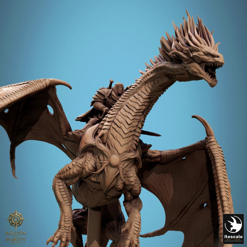 Dragon Watcher - Fly