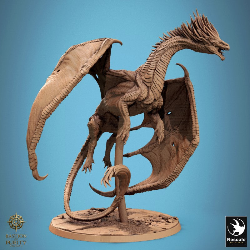 Dragon Watcher - Fly