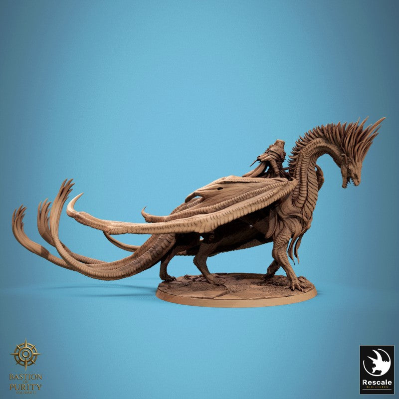 Dragon Watcher - Walk