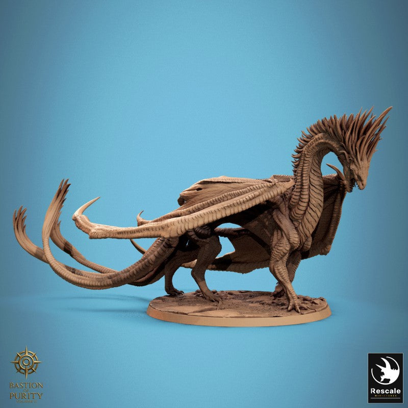 Dragon Watcher - Walk