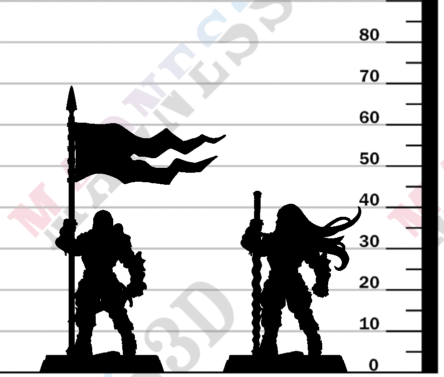 Vanguard Fighter - E