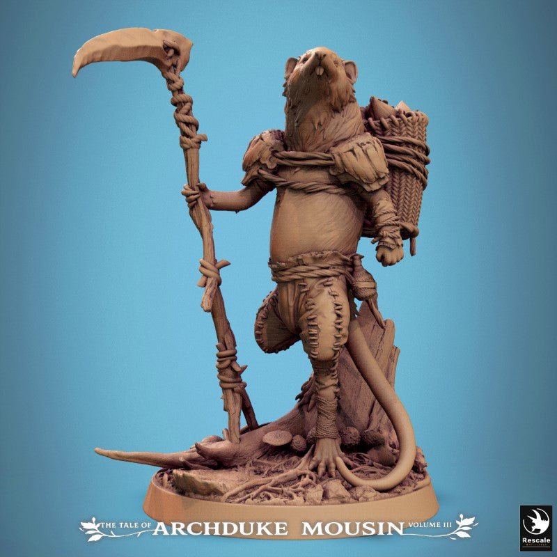 Etruscan Shrew - Look