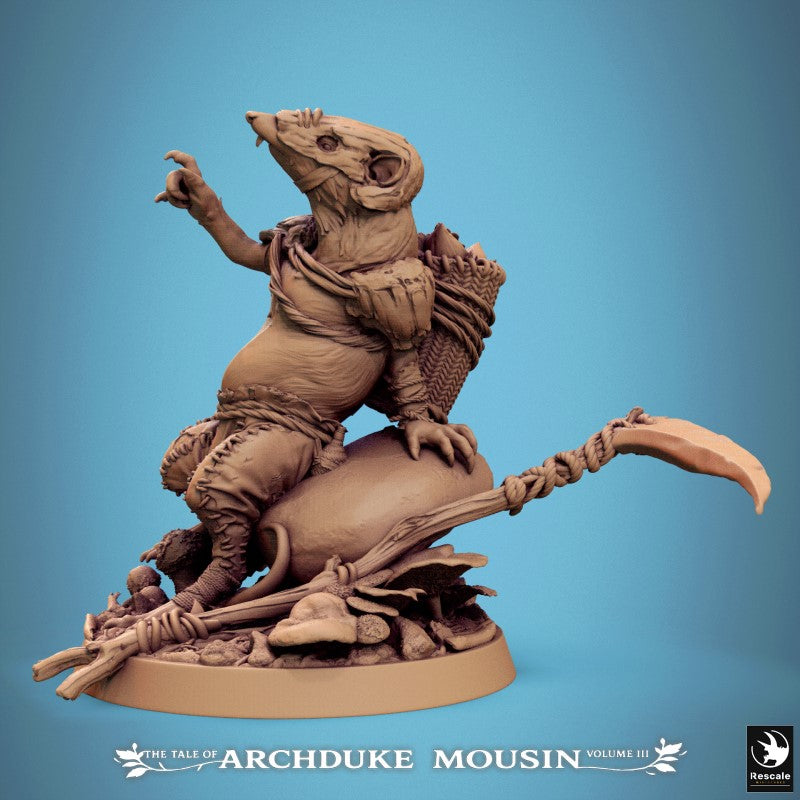 Etruscan Shrew - Sit