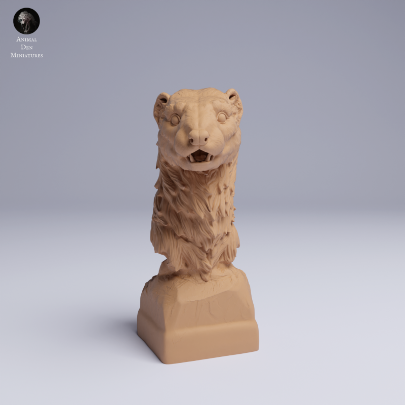 European Polecat - Bust