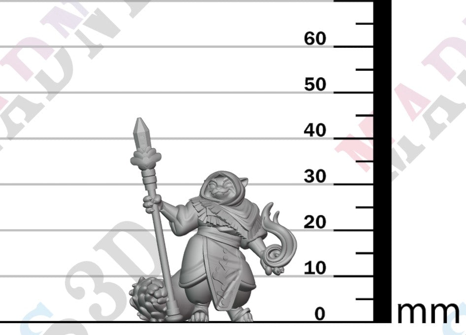 Paltuun Wizard - Female