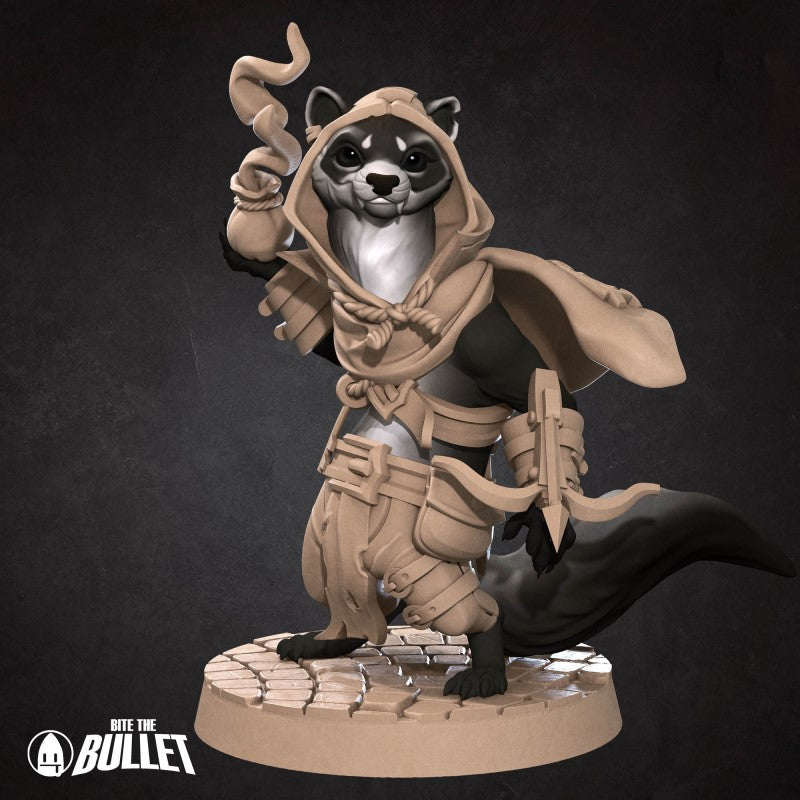 Ferret Rogue