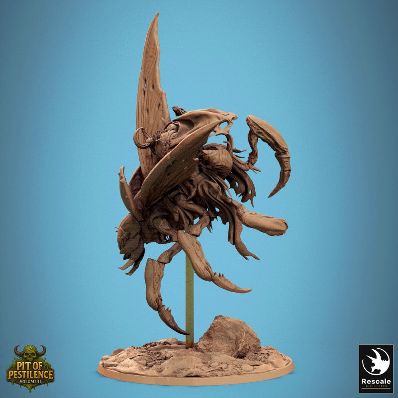 Scarab Host Fly - Turn
