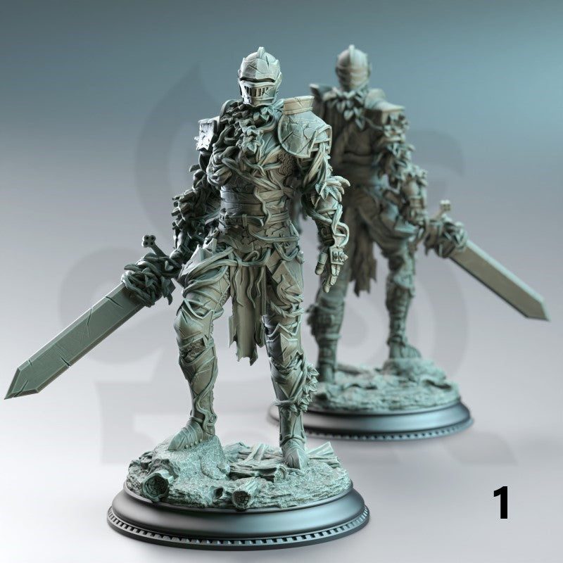 Forgotten Knights