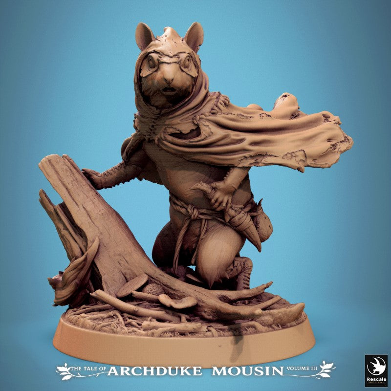 Garden Dormouse - Look