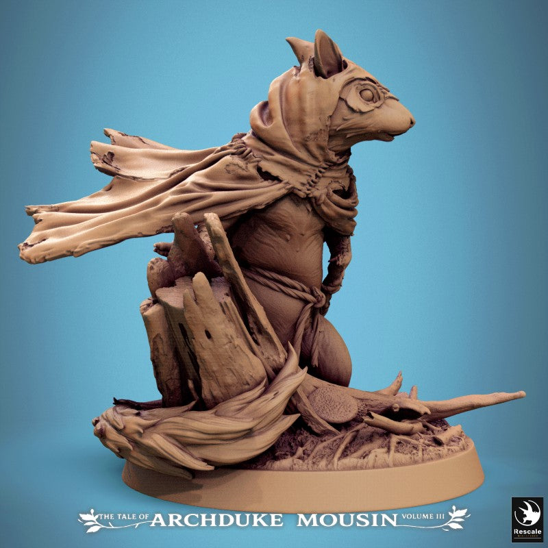 Garden Dormouse - Look