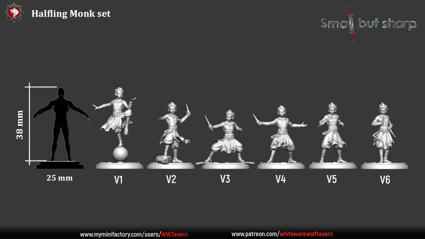 Halfling Monk - V1