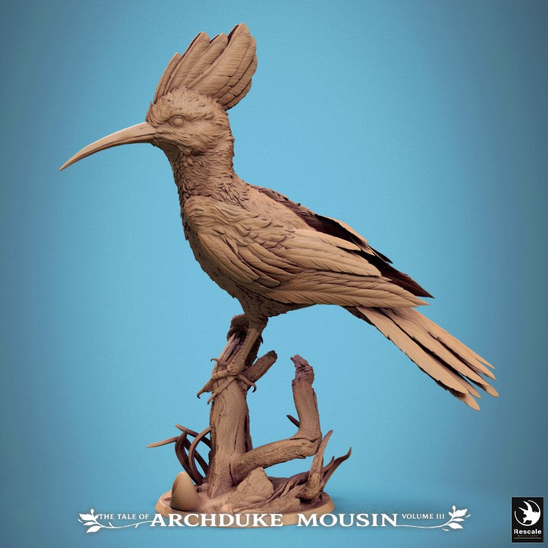 Hoopoe - Stand