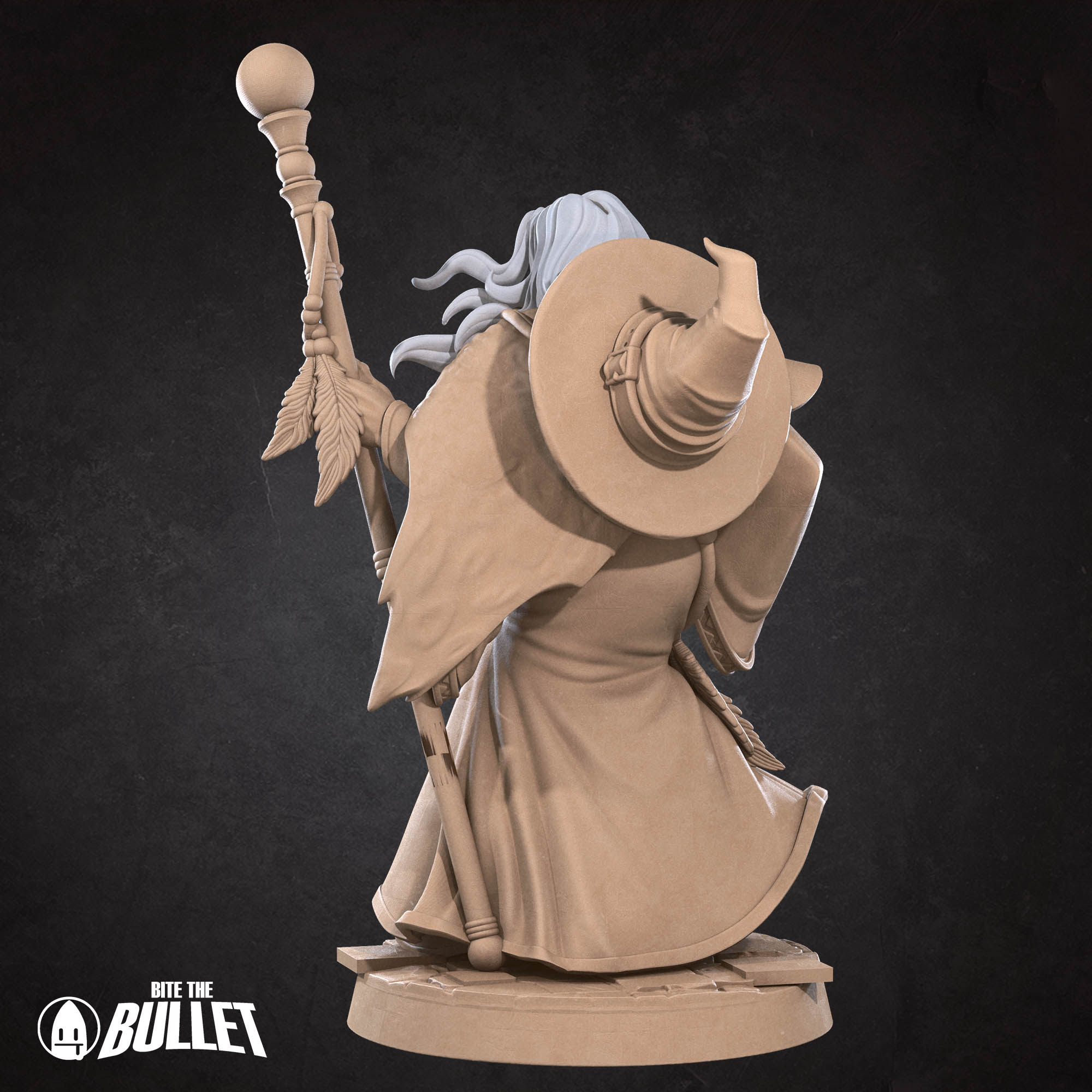 Human Wizard