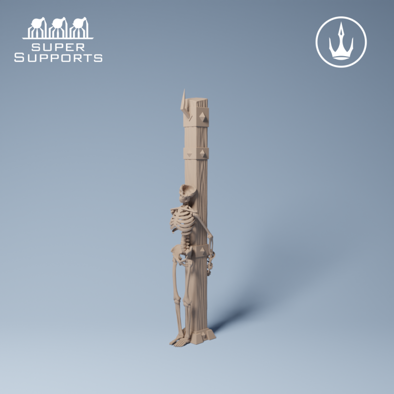 Human Skeleton - Group 3